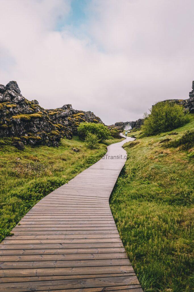 path winding through green volcanic hills in Iceland