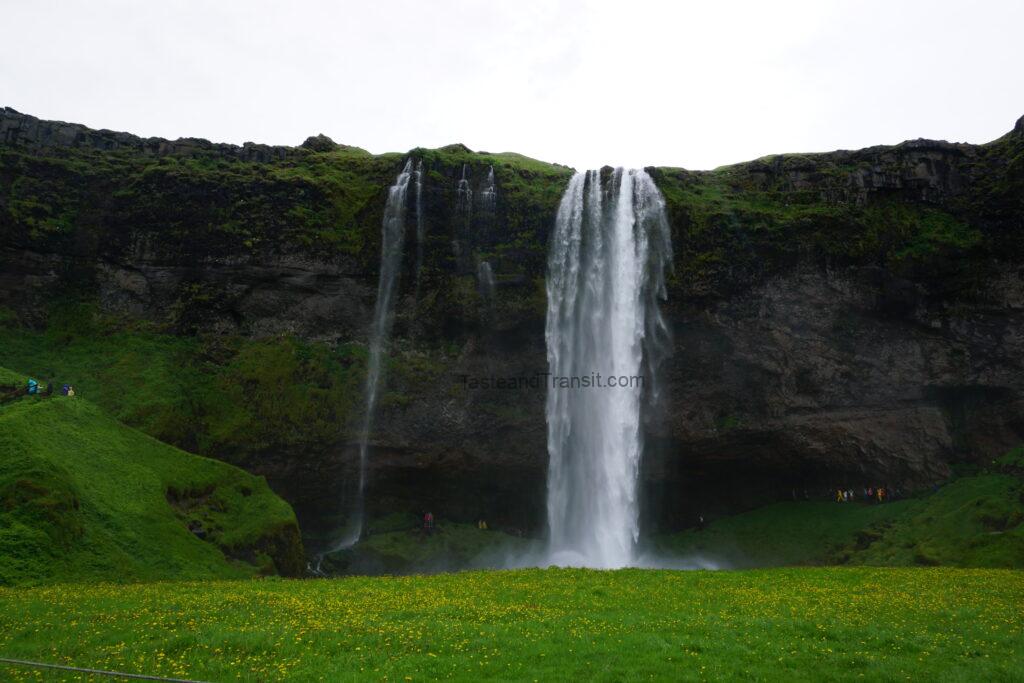 Seljalandsfoss waterfall cascading down green cliffs in Iceland