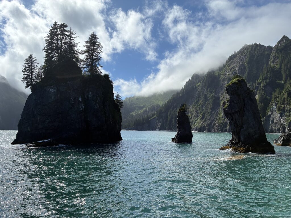 Rocky sea stacks with pine trees surrounded by ocean water in Kenai Fjords